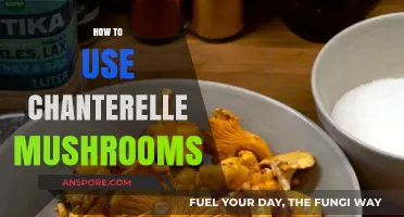 Mastering Chanterelle Mushrooms: Delicious Recipes and Cooking Techniques