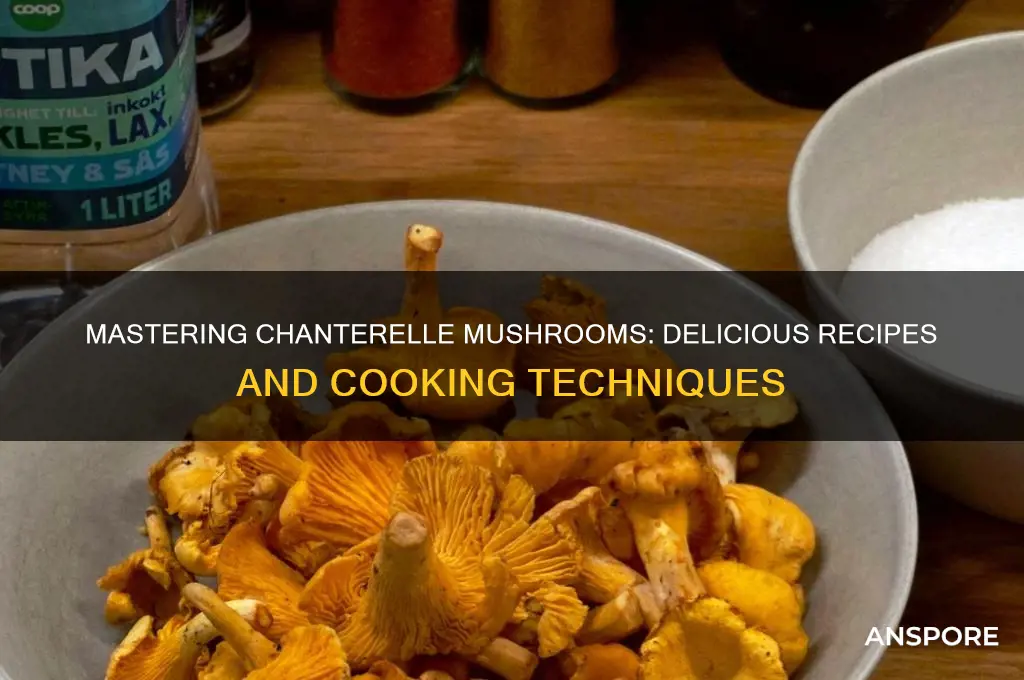 how to use chanterelle mushrooms