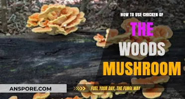 Discovering Chicken of the Woods: A Guide to Foraging and Cooking