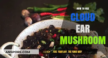 Mastering Cloud Ear Mushrooms: Easy Cooking Tips and Recipes