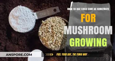 Mastering Mushroom Cultivation: Coco Coir Substrate Techniques for Optimal Growth