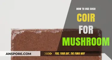 Mastering Mushroom Cultivation: Coco Coir Techniques for Optimal Growth