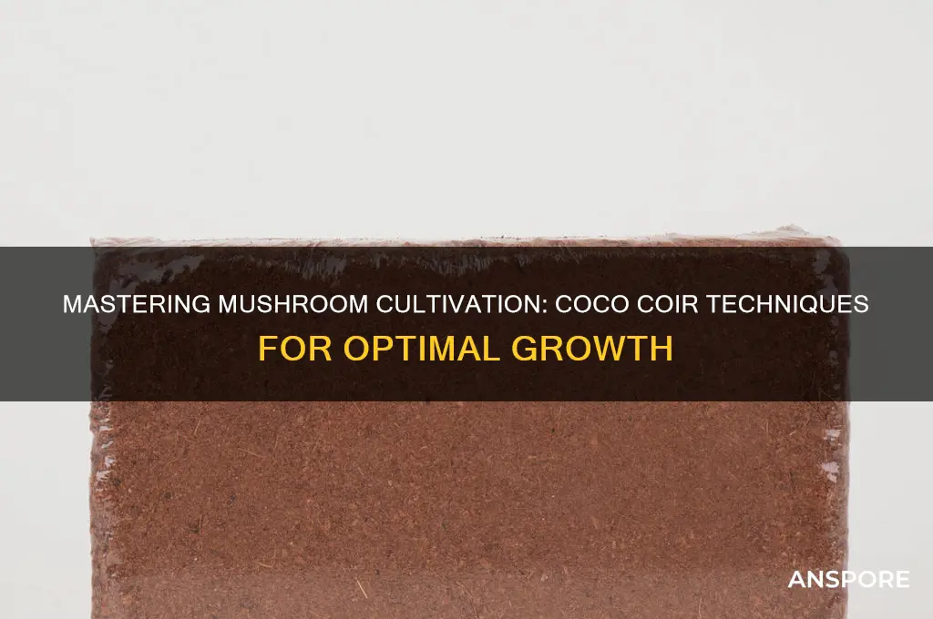 how to use coco coir for mushrooms