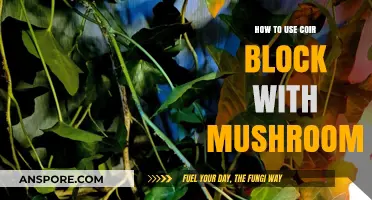 Growing Mushrooms in Coir Blocks: A Step-by-Step Guide