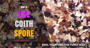 Mastering Coith Spore: Effective Techniques for Optimal Use and Benefits