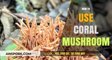 Discovering Coral Mushrooms: Creative Culinary Uses and Identification Tips