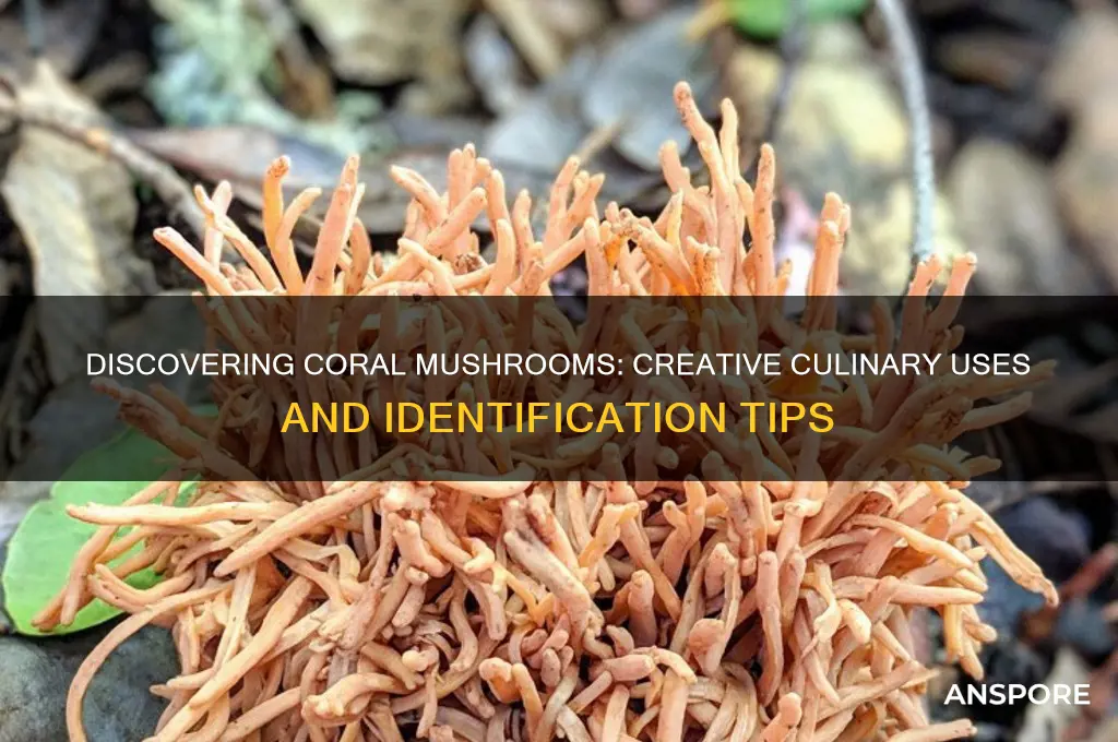 how to use coral mushrooms