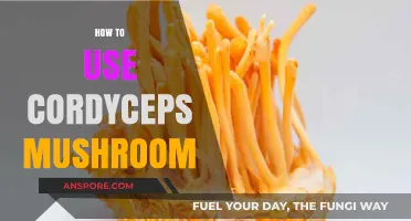 Unlocking Cordyceps Benefits: A Guide to Using This Powerful Mushroom