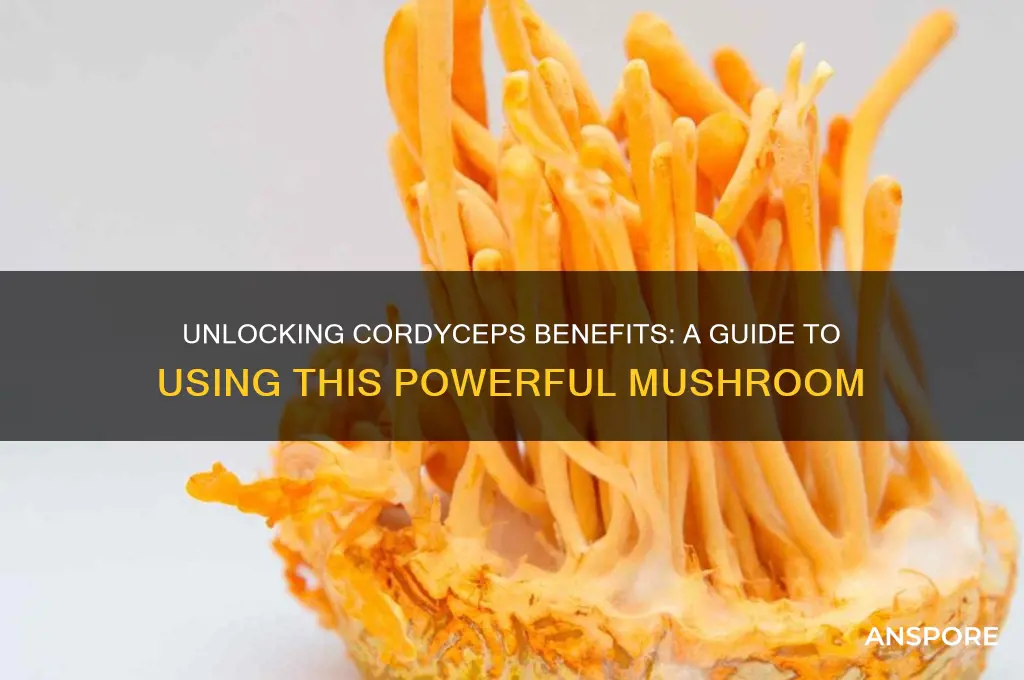how to use cordyceps mushroom