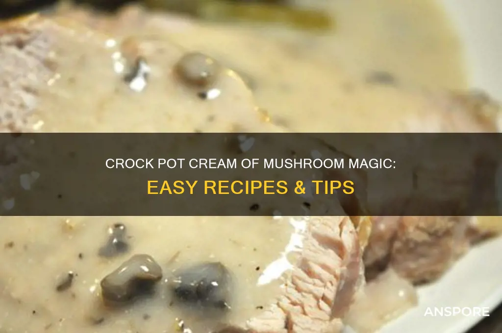 how to use cream of mushroom in crock pot