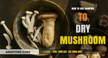 Effective Mushroom Drying: Using Damprid for Optimal Results