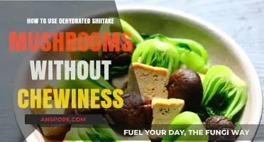 Perfectly Tender Dehydrated Shiitake Mushrooms: Tips to Avoid Chewiness