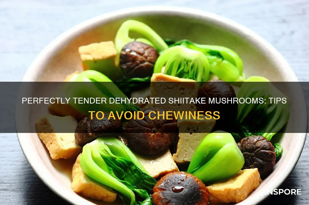 how to use dehydrated shiitake mushrooms without chewiness