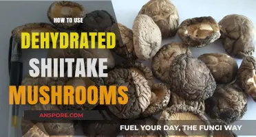 Revitalize Your Dishes: Mastering Dehydrated Shiitake Mushrooms in Cooking