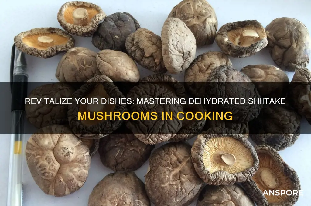 how to use dehydrated shiitake mushrooms