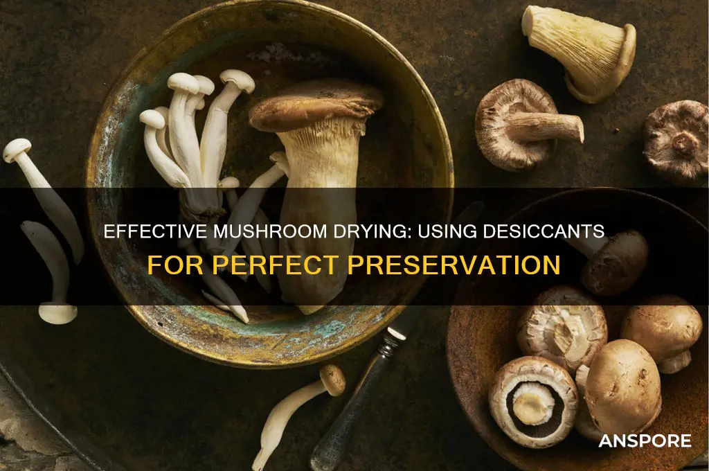 how to use dessicant to dry mushrooms