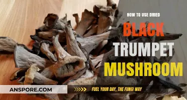 Enhance Your Dishes with Dried Black Trumpet Mushrooms: A Guide