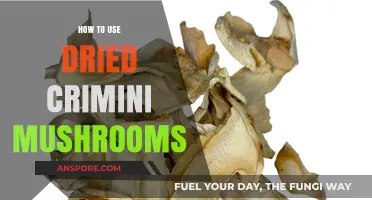 Enhance Your Dishes: Creative Ways to Use Dried Crimini Mushrooms
