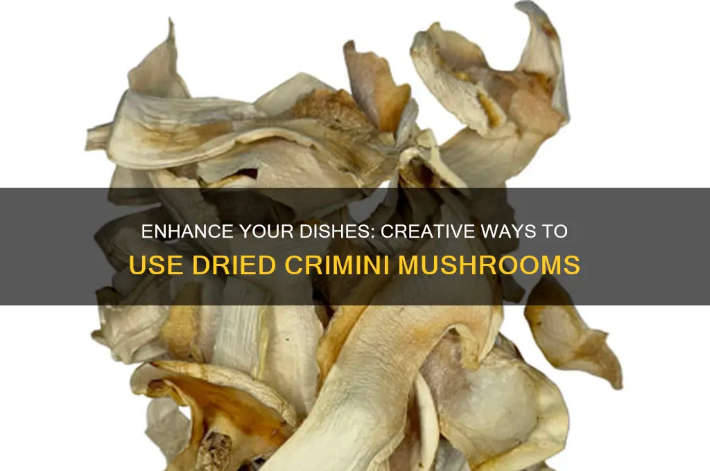 how to use dried crimini mushrooms