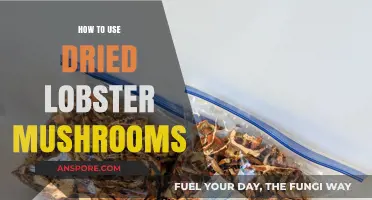 Mastering Dried Lobster Mushrooms: Creative Culinary Uses and Tips