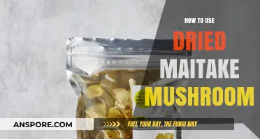 Unlocking Flavor: Creative Ways to Use Dried Maitake Mushrooms