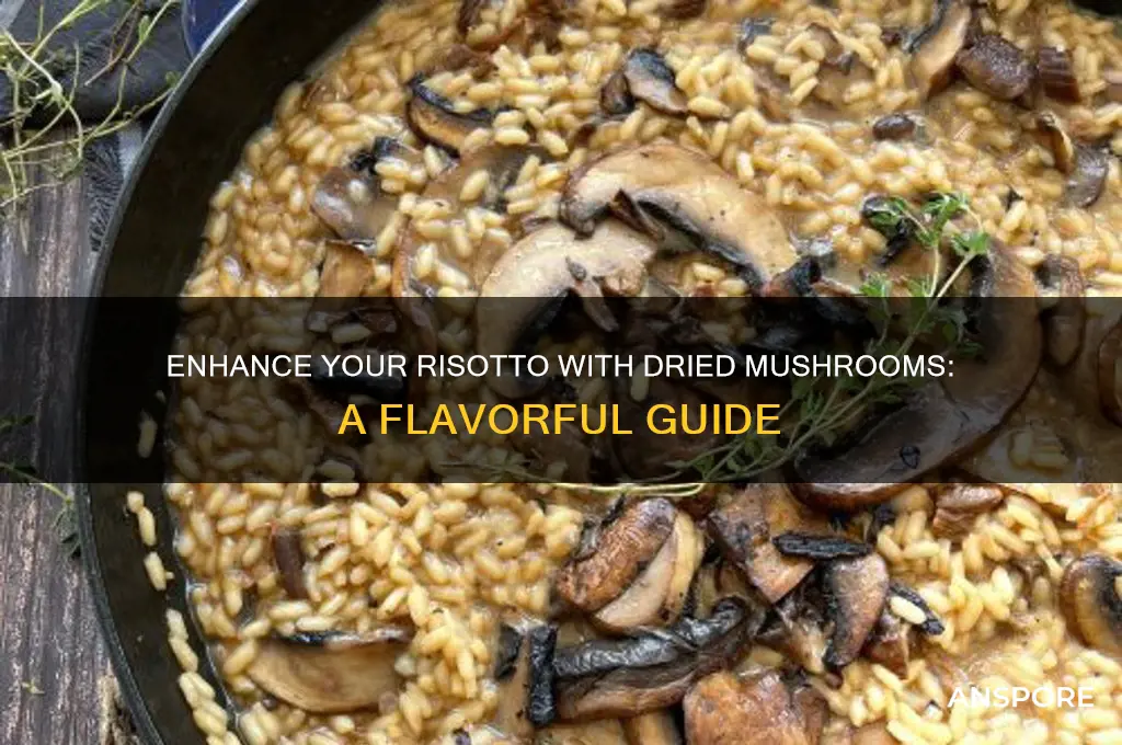 how to use dried mushrooms in risotto