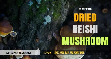 Unlocking Wellness: A Guide to Using Dried Reishi Mushroom