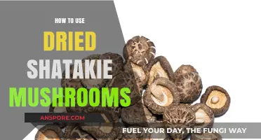 Unlocking Flavor: Creative Ways to Use Dried Shatakie Mushrooms