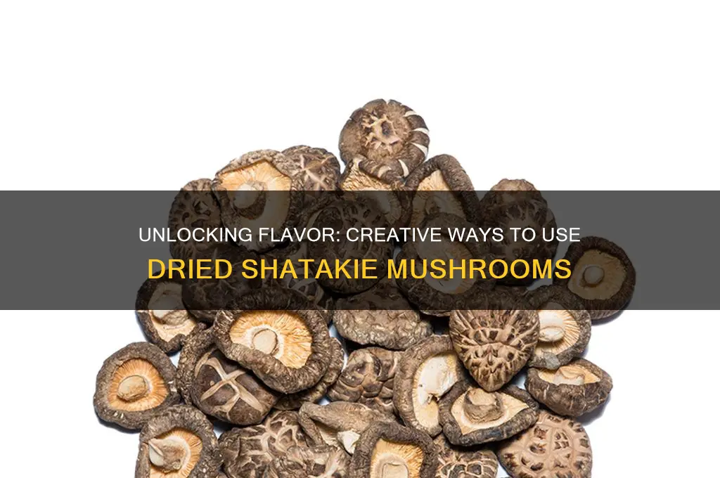 how to use dried shatakie mushrooms