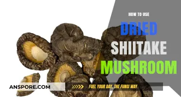 Mastering Dried Shiitake Mushrooms: Flavorful Cooking Tips and Recipes
