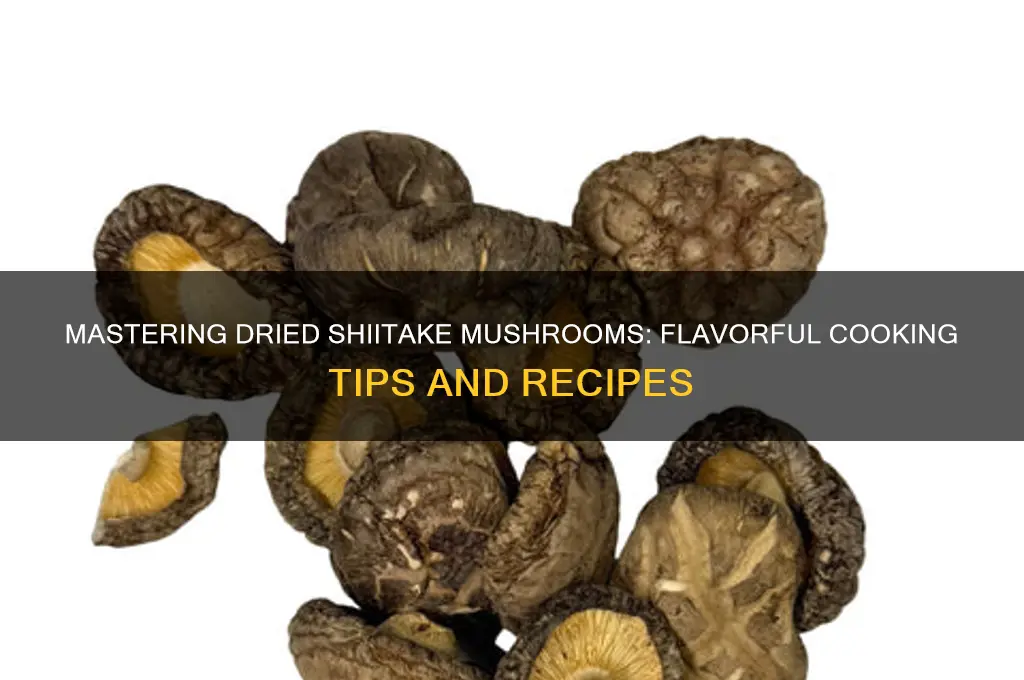 how to use dried shiitake mushroom