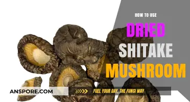 Mastering Dried Shiitake Mushrooms: Easy Tips for Flavorful Cooking