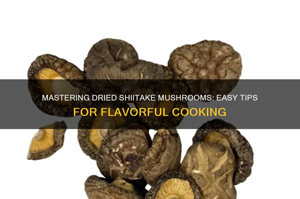 how to use dried shitake mushrooms