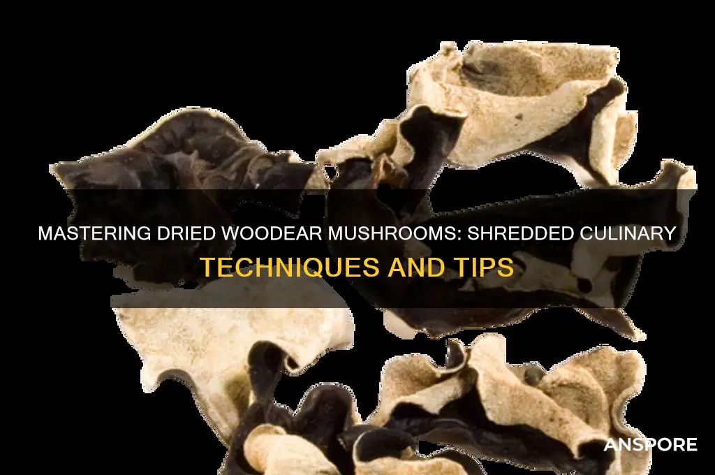 how to use dried shredded woodear mushrooms