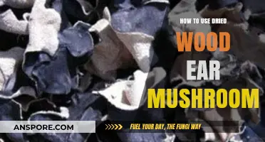 Unlocking Flavor: Creative Ways to Use Dried Wood Ear Mushrooms