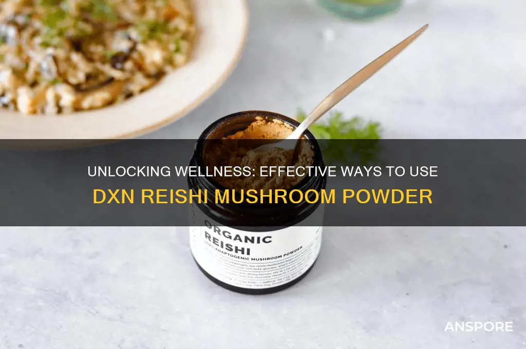 how to use dxn reishi mushroom powder