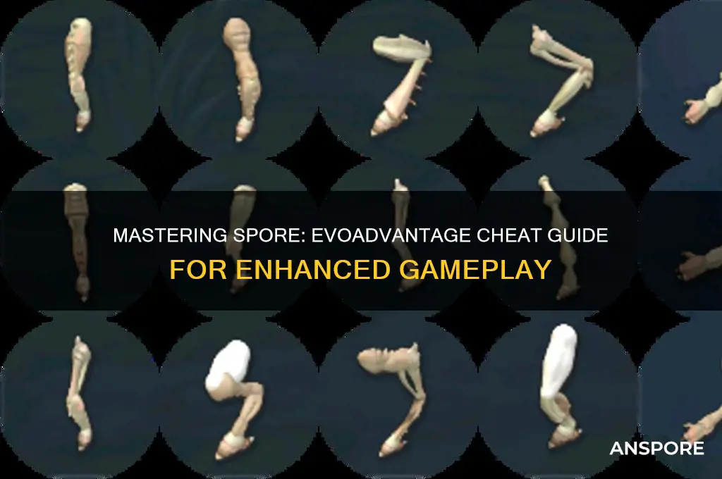 how to use evoadvantage cheat in spore