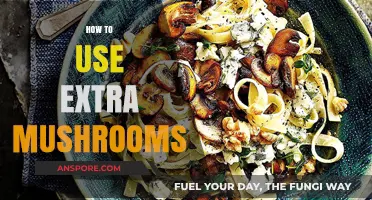 Creative Ways to Use Extra Mushrooms in Your Daily Cooking
