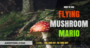 Mastering Mario's Flying Mushroom: Tips for Sky-High Adventures