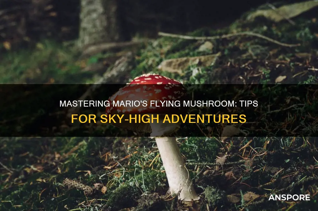 how to use flying mushroom mario