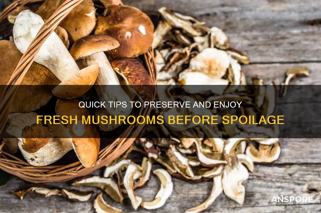 how to use fresh mushrooms before they go bad