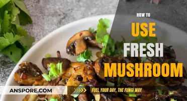 Mastering Fresh Mushrooms: Tips for Cleaning, Storing, and Cooking