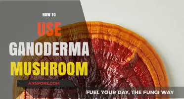 Unlocking Wellness: Effective Ways to Use Ganoderma Mushroom Daily