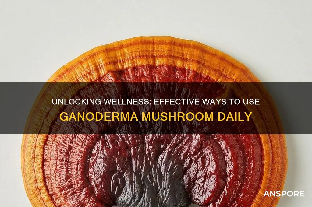 how to use ganoderma mushroom