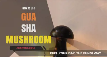 Master Gua Sha Mushroom Techniques for Radiant Skin and Relaxation