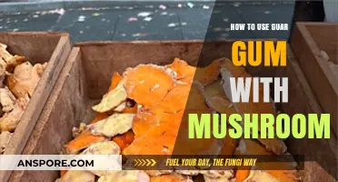 Enhance Mushroom Recipes: Mastering Guar Gum for Perfect Texture and Flavor