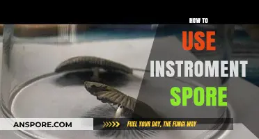 Mastering Instroment Spore: A Step-by-Step Guide for Beginners