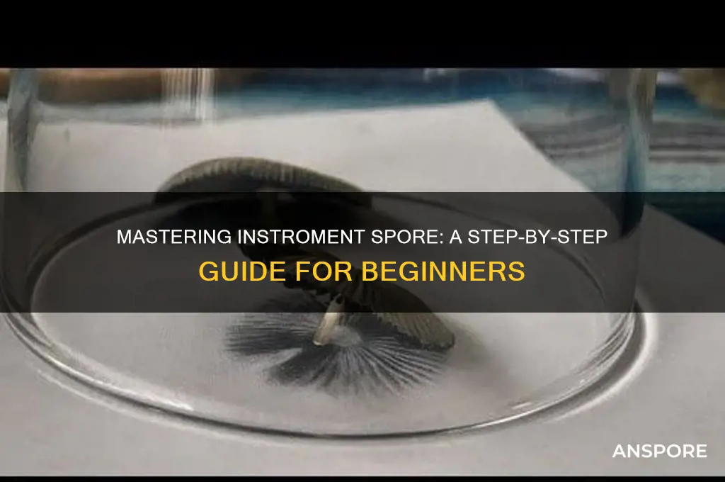 how to use instroment spore