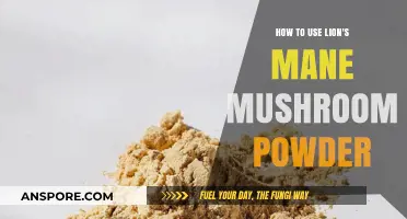Unlock Cognitive Benefits: Using Lion's Mane Mushroom Powder Daily