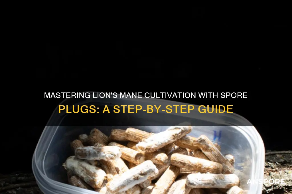 how to use lions mane spore plugs